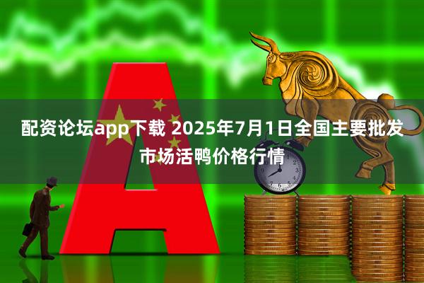 配资论坛app下载 2025年7月1日全国主要批发市场活鸭价格行情
