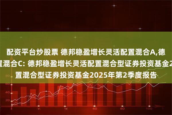 配资平台炒股票 德邦稳盈增长灵活配置混合A,德邦稳盈增长灵活配置混合C: 德邦稳盈增长灵活配置混合型证券投资基金2025年第2季度报告